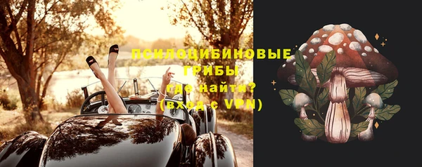 прущие крисы Краснотурьинск